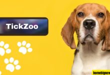 tickzoo