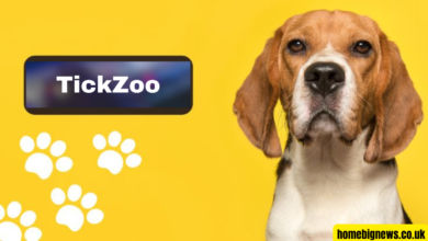 tickzoo