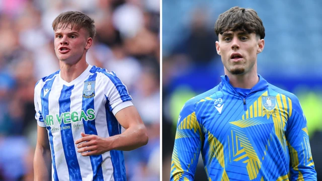 Sheffield Wednesday: News, Fixtures, Live Scores & Everything About the Owls in 2025 Sheffield Wednesday