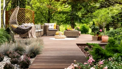 Landscape Designs