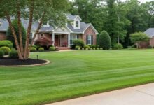 Lawn Maintenance Matters