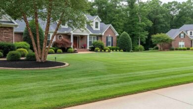 Lawn Maintenance Matters