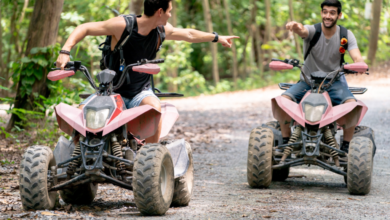 Things to Do Near Me