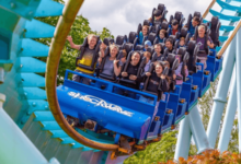 Days Out With The Kids