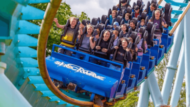 Days Out With The Kids