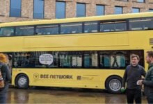 Yellow Buses