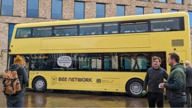 Yellow Buses
