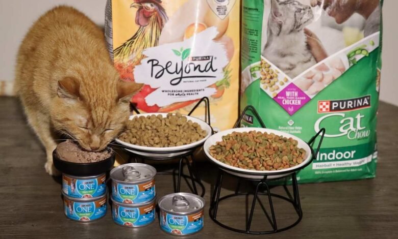 Purina Cat Food – The Ultimate Guide to Wet & Dry Cat Food in the UK Purina Cat Food