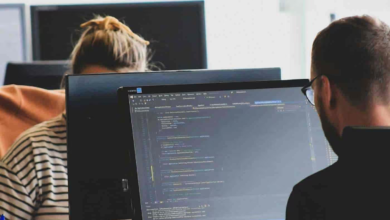 best software consultants in Chicago