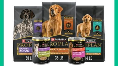 Purina Dog Food