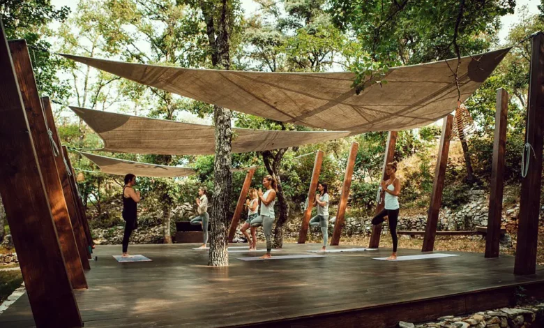 India’s Wellness Boom: Yoga, Ayurveda and Modern Retreat Travel India’s Wellness Boom: Yoga, Ayurveda and Modern Retreat Travel