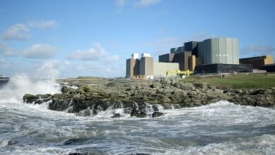 wylfa